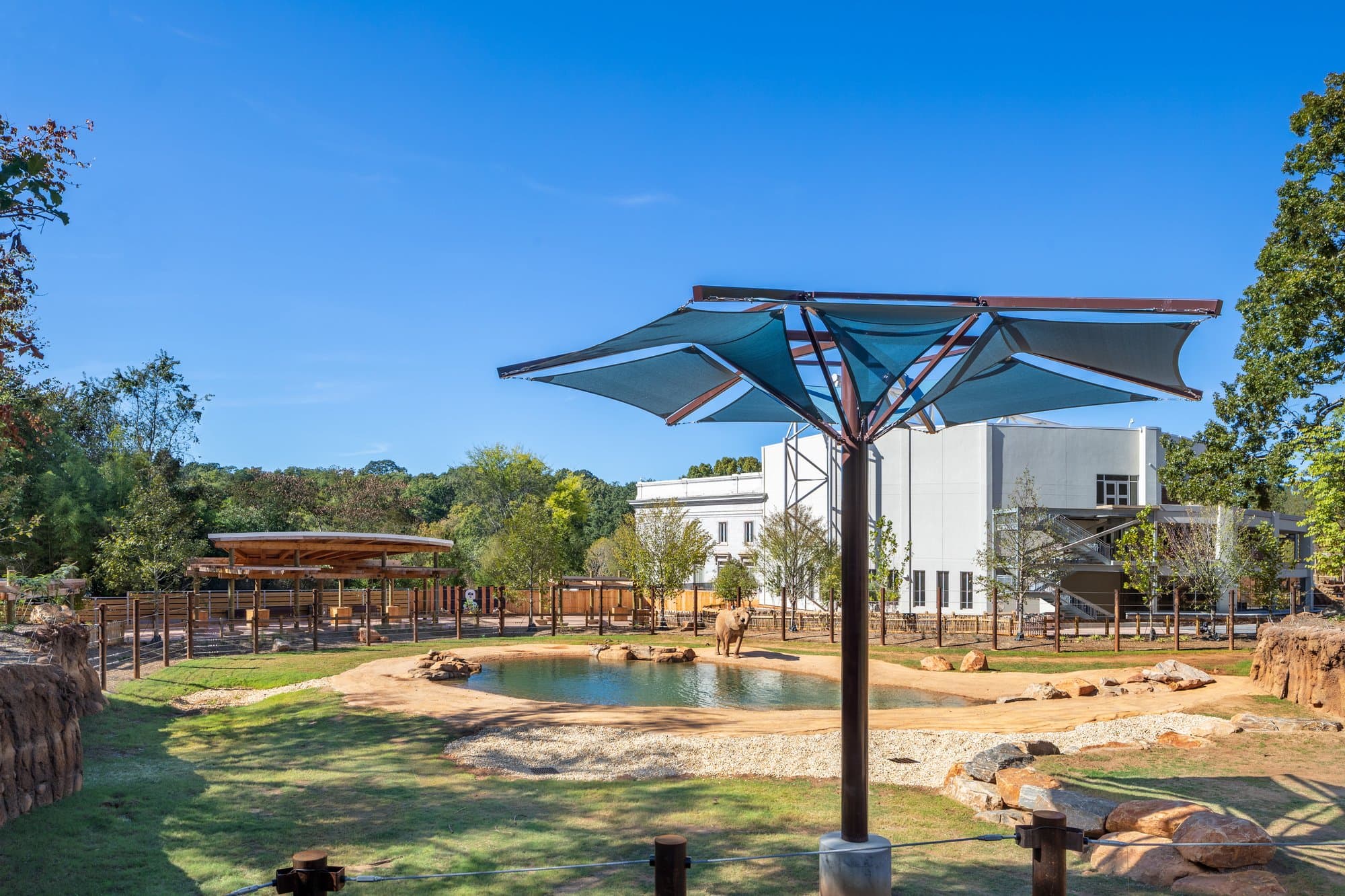 elephant habitat with a pool in the center and an umbrella in the foreground to keep out of the sun