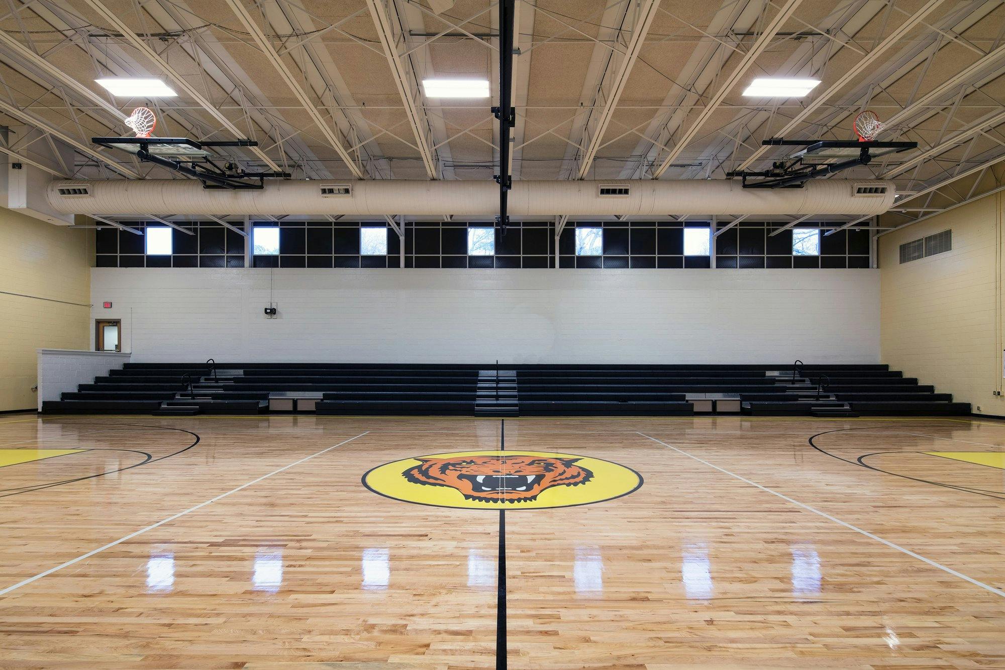 A tiger mascot is seen painted in a yellow circle on a gymnasium basketball court.