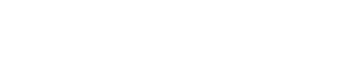 secondary logo
